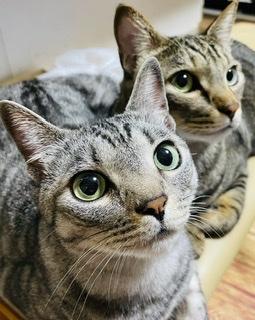 �G�l���M�[�̕s�v�c.R4.6.3���̂̃T���l�C���摜