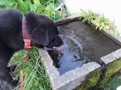 �u���O�L���P�O�O�����̃T���l�C���摜