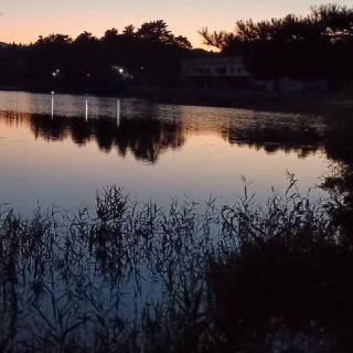 �h���C�����͖����̖�Ɏ�������̃T���l�C���摜