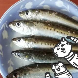 ���ŏo���^���I�A���`�G�C�W���O���O�O�̃T���l�C���摜