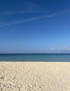 ���z�̌��������Ղ聙�̃T���l�C���摜