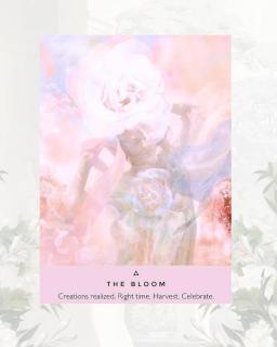 ���̋M���ւ̃��b�Z�[�W�̃T���l�C���摜