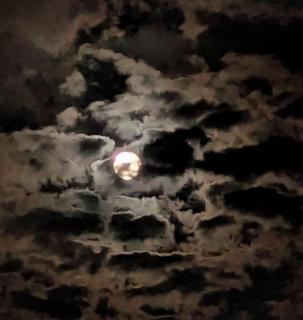 �����Ɨ��̃T���l�C���摜