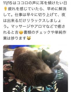 11/15�̐���p���b�Z�[�W�̃T���l�C���摜