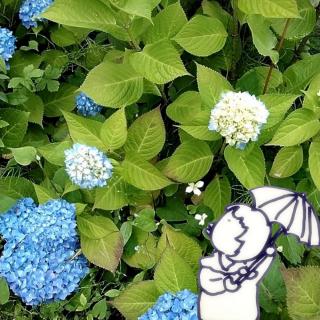 ���z�Ԃ̉Ԍ��t���낢��̃T���l�C���摜