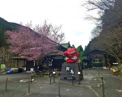 �S��15���@�����^�̃T���l�C���摜