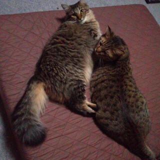 8������Ȃ��ł����[�̃T���l�C���摜