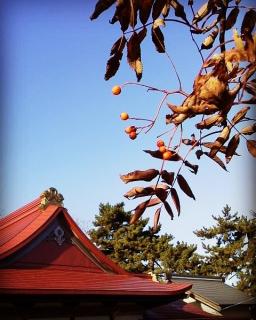 ���䌘����̃T���l�C���摜