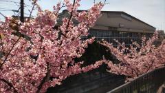 �͒Í��̃T���l�C���摜