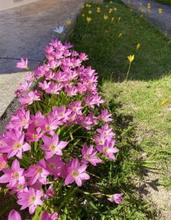 ��������P�O���`�I�̃T���l�C���摜