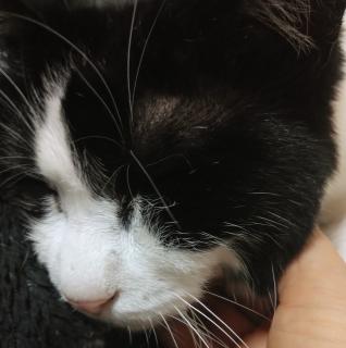 ���郁�X�ɂ�񁙂̃T���l�C���摜