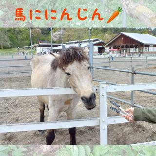 �n�ɐl�Q�������Ă��܂����I�̃T���l�C���摜