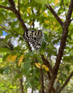 6��23���@�ԗ�̓��̃T���l�C���摜