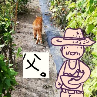 4ڂ̐l̃TlC摜