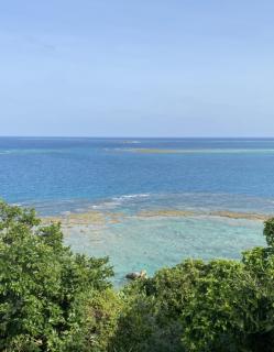 �^�C�p���[�A�b�v���؎����̃T���l�C���摜