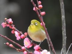 �_���܂���̂����t�u�Q�O�Q�O�N�́E�E�E�v�̃T���l�C���摜