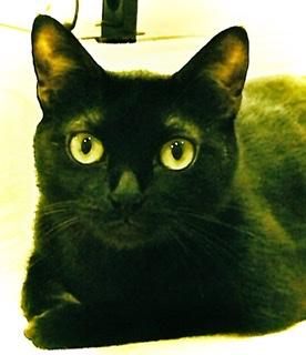 ���Ԃ�����l��R4.9.21���̂̃T���l�C���摜