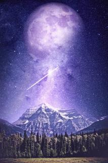 [�J�^]�P�O�O�O�N�Ɉ�x�̃p�[�v�����[���̃T���l�C���摜