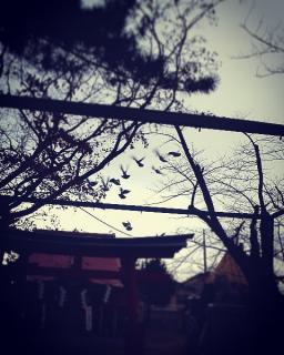 �y���f�������̃T���l�C���摜