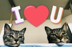 �����^�����R���g���[��.4.18���̂̃T���l�C���摜