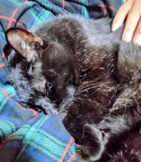 ���Ȃ��̕��́H�̃T���l�C���摜