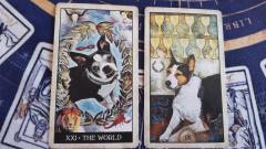 �W�����s���O�J�[�h���b�Z�[�W�̃T���l�C���摜