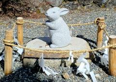 �Q��21���@�^���̃T���l�C���摜