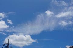 ���̎���ɂ̃T���l�C���摜