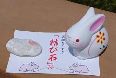 �T���̗����^�̃T���l�C���摜