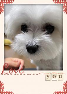 �ނ̋C�������m�肽���̃T���l�C���摜