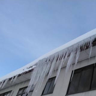 ���A���Ă���܂��̃T���l�C���摜