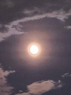 �K���ɂȂ낤�˂̃T���l�C���摜