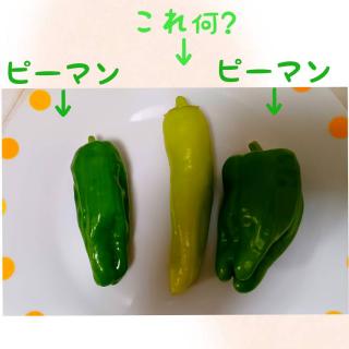 �s�[�}���Ɖ����킩��Ȃ���؂̃T���l�C���摜