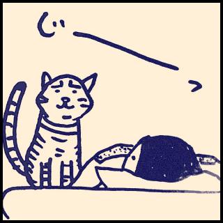 �ڊo�܂��L�̃T���l�C���摜