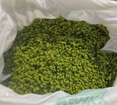 �U��11���@�����^�̃T���l�C���摜