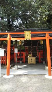 �����ыF��̃T���l�C���摜