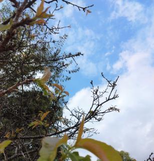 ���͂Ȃ肽���̃T���l�C���摜