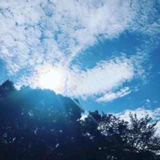 ����Q��̃T���l�C���摜