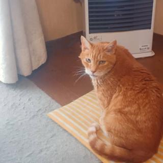 ���ƔL�̂͂Ȃ��̃T���l�C���摜