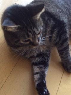 ������ݏo���E�CR4.3.27���̂̃T���l�C���摜