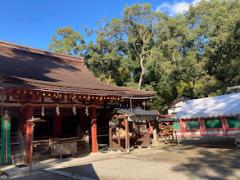 ���ӂ̎Q�q�ւ̃T���l�C���摜