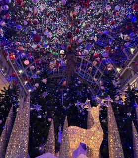 �a������2025�N12���̃��b�Z�[�W�̃T���l�C���摜