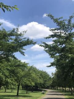 �����͗��H�ł�*�.�Kߥ*�̃T���l�C���摜