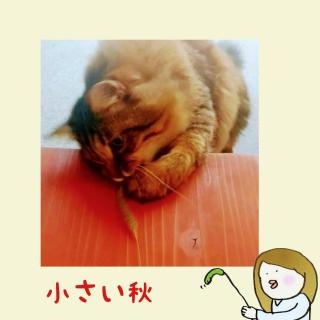 �������H��������� �R(���փ�)ɂ̃T���l�C���摜