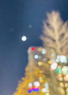 �f���Ɋ��ŁIR 3�N12.15.���̂̃T���l�C���摜