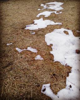 �c���c���R�~���j�P�[�V�����̃T���l�C���摜