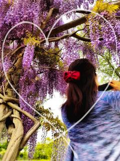 ���̉Ԃ��J�A�L�����A�򉻂̏ے��̃T���l�C���摜