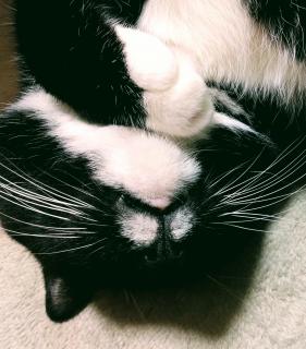 ���̎���̘b���̃T���l�C���摜