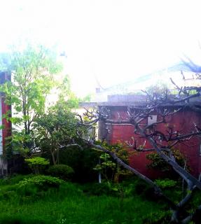 ����ɂ͓������̃T���l�C���摜