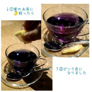 �肢�t�̗F�l�ƂT�N�Ԃ�̍ĉ�̃T���l�C���摜